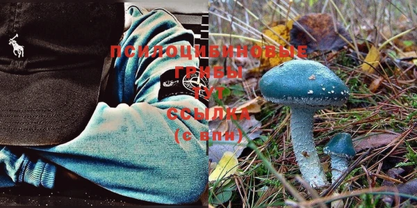 a pvp Балахна