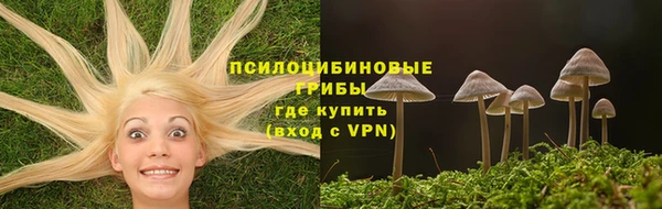 гидра Баксан